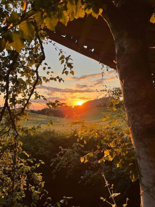 Nuit Insolite - La Cabane Du Haut-Doubs Les Gras Экстерьер фото